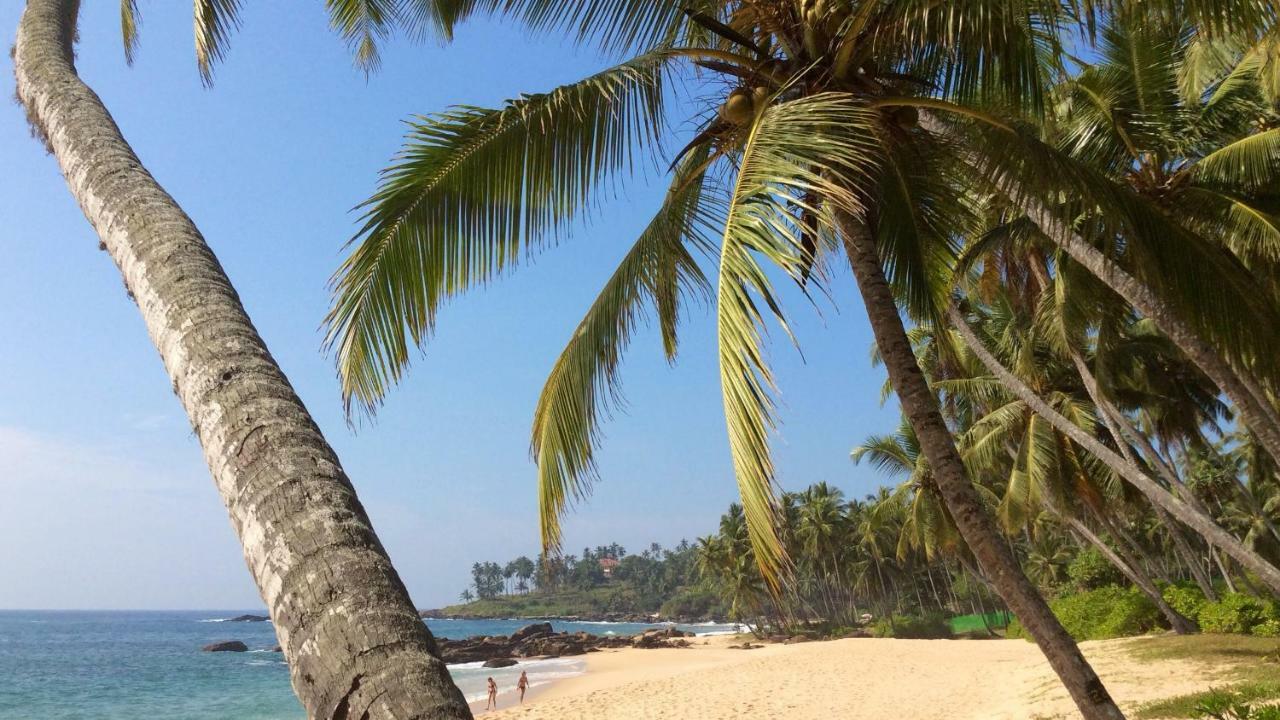 Green Garden Cabanas Tangalle Zewnętrze zdjęcie